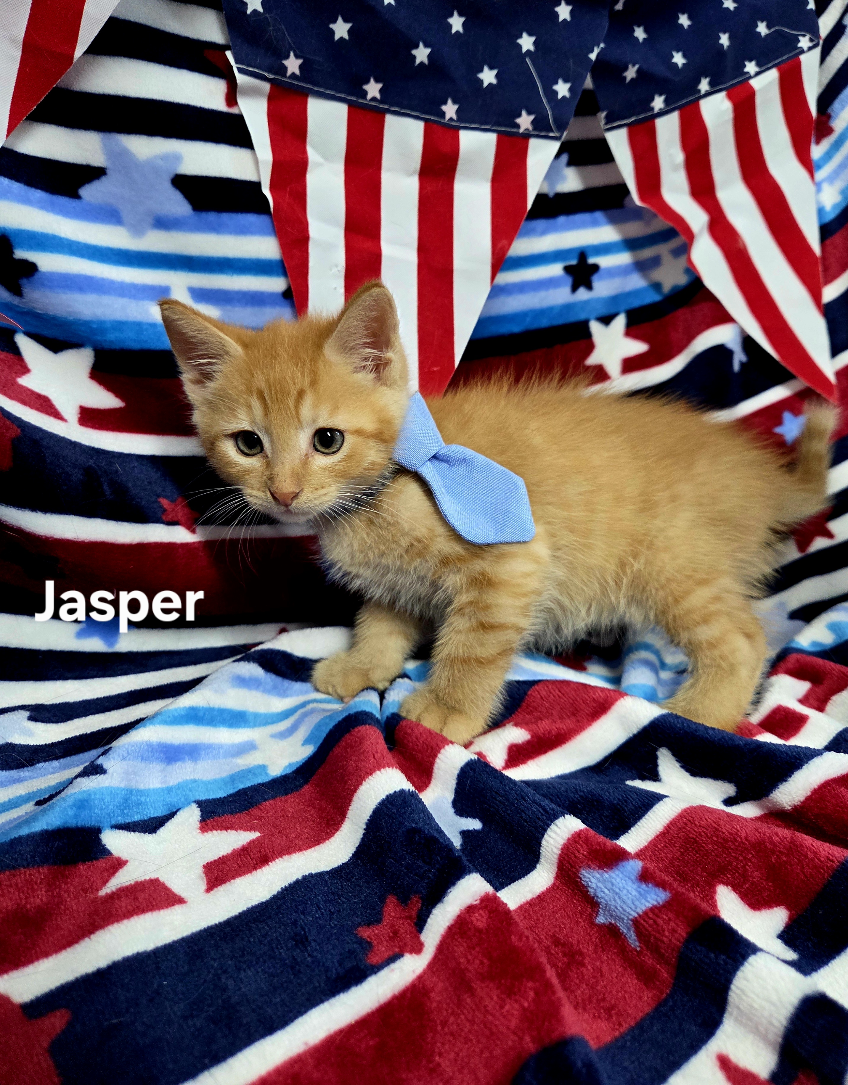 Jasper